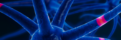 Новые клинические рекомандации 2025 по рассеянному склерозу: назначение и смена ПИТРС