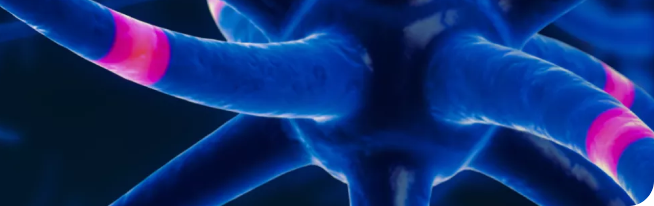 Новые клинические рекомандации 2025 по рассеянному склерозу: назначение и смена ПИТРС