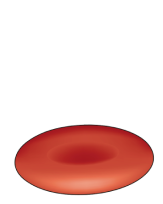 Эритроцит при ПНГ (Пароксизмальная ночная гемоглобинурия) ПНГ- эритроцит
