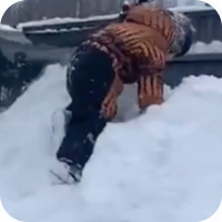 3 года 2 месяца